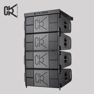 Cvr Professionelle Audio Außenlautsprecher Dual 12 Linienarray-System