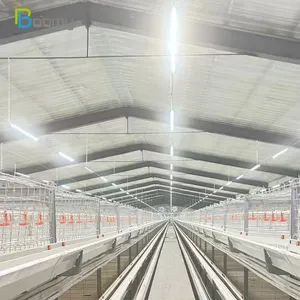 LED-Farmbeleuchtung Automatisierung Geflügel Hühnerlicht Beleuchtungskontrollsystem