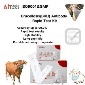 Instrumentos confiáveis para testes de Brucella na análise de amostras de soro veterinário